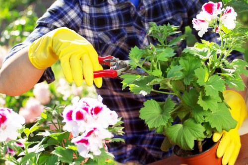 Gardener in Frognal providing a clear quote for a front garden tidy-up