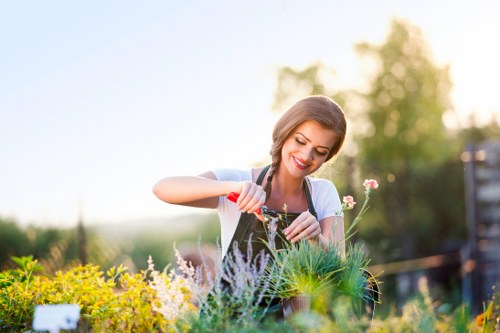 Gardening services in Frognal for neatly maintained residential outdoor spaces