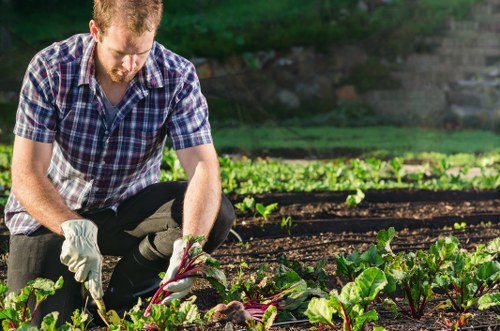 Image showing an accessible Gardeners Frognal webpage introduction