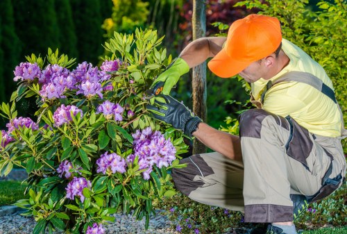 Garden safety procedures followed by insured gardeners in Frognal