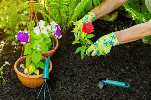Professional lawn mowing in Frognal with a neatly cut residential garden