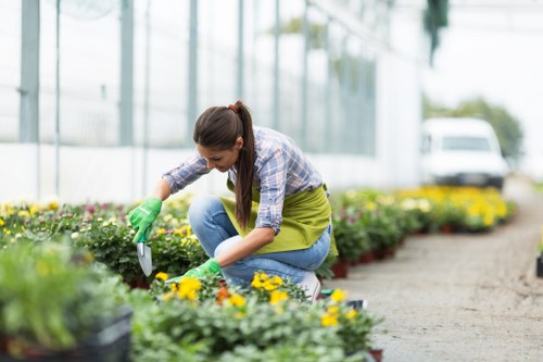 Professional garden maintenance in Frognal including lawns and borders