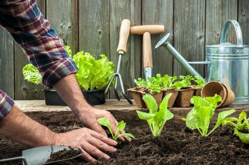 Secure Gardeners Frognal payments area with trusted checkout protection