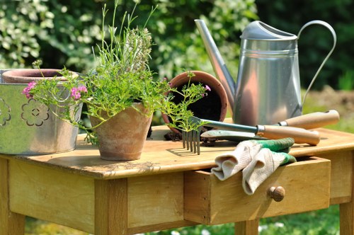 Responsible green waste handling during a garden clearance service