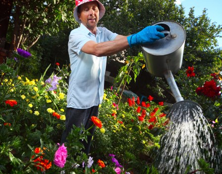 Professional hedge maintenance in a Frognal property