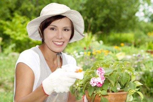 Seasonal lawn maintenance in Frognal with mowing and feeding