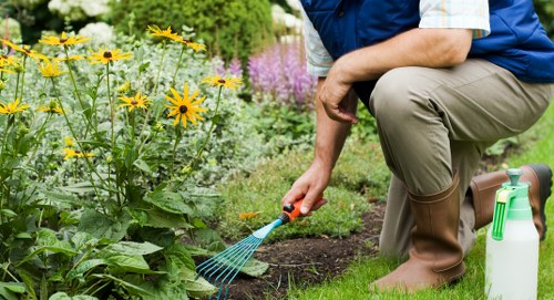 Image highlighting accessibility support for Frognal gardening visitors
