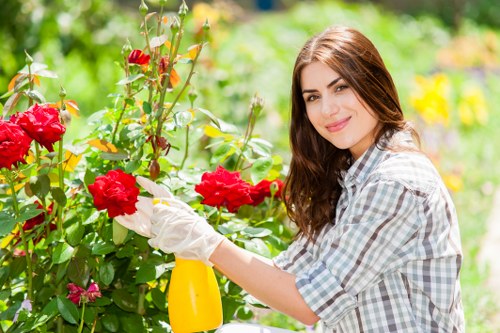 Assessing a gardeners Frognal complaint carefully