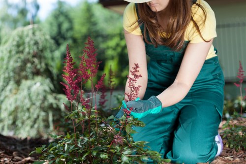Low-carbon van used for sustainable gardening operations
