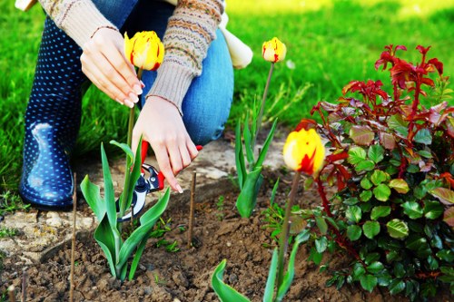 Year-round garden maintenance in Frognal for a polished property