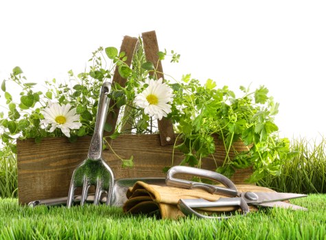 Overview of cookie categories for Frognal gardening site