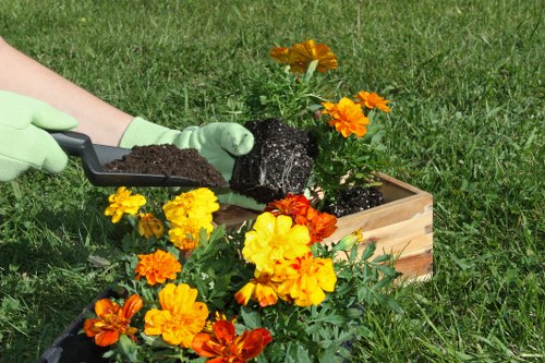 Image representing screen-reader friendly gardening content for Frognal