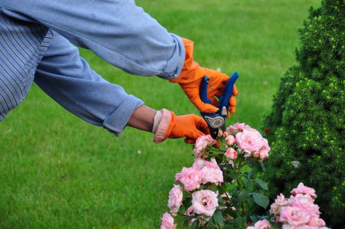 Professional garden maintenance in Frognal with pruning and border care