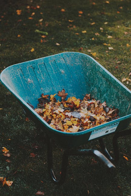 A vibrant blue wheelbarrow filled with a mixture of autumn leaves, placed on a garden lawn. The leaves are various shades of brown, yellow, and orange, contrasting with the textured dark soil and patc