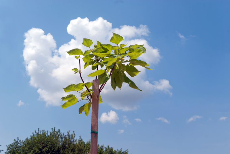 garden design Garden